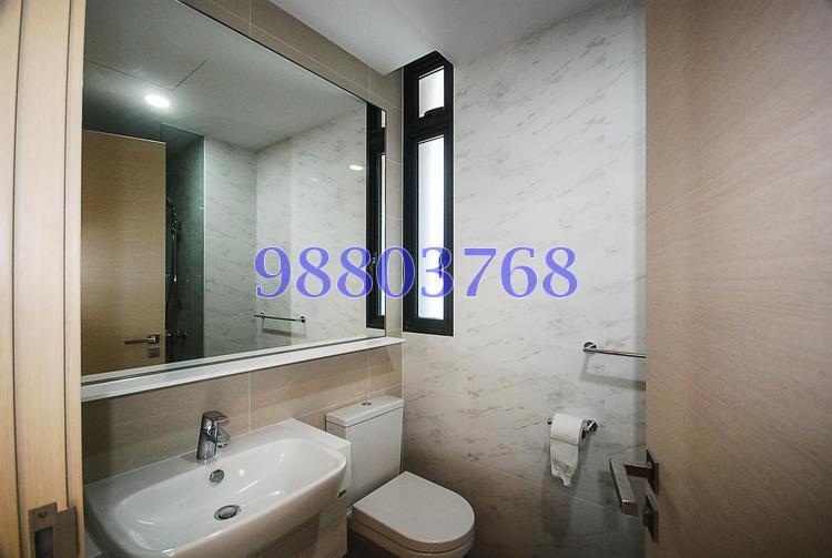 The Luxurie (D19), Condominium #76956292